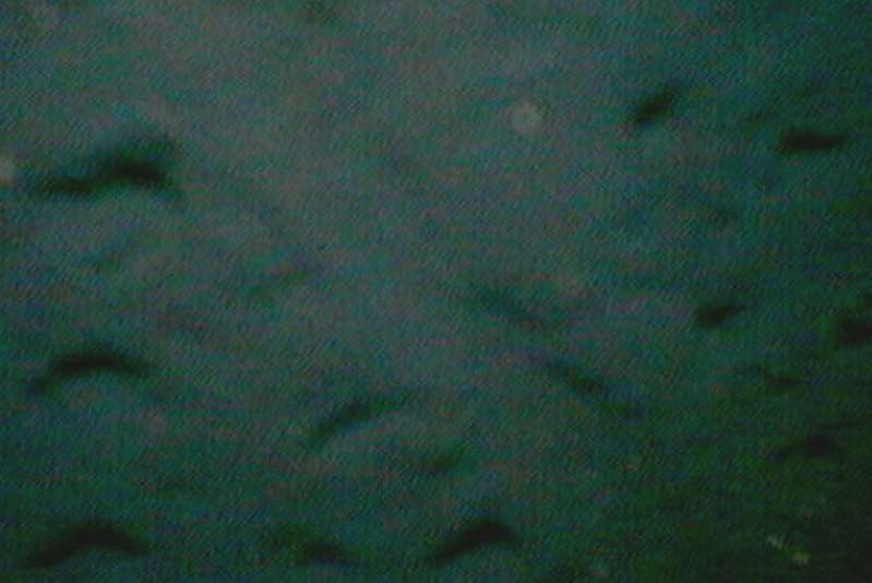 Quelle: Peter und Silke Stumpf GbR