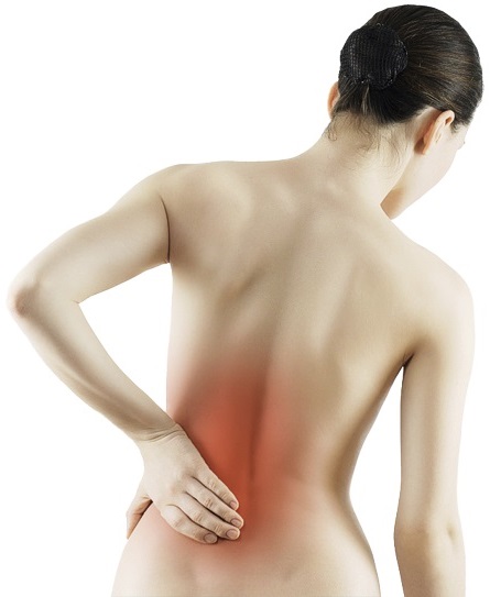 R&uuml;cken gezielt mit bellicon st&auml;rken (Bild: bellicon)