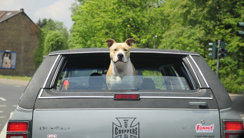 Quelle: Autofahrerseite.eu