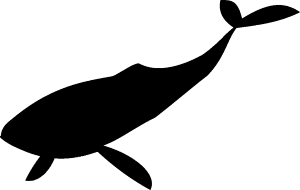 Quelle: AUTOFAHRERSEITE.EU